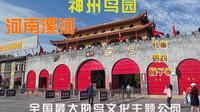 到漯河啦，去全国最大的鸟文化主题公园-神州鸟园看看有哪些不同种类的鸟，听说还有精彩的孔雀东南飞的表演呢