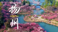 【扬州】往返6次的扬州，我见到了江南的春和秋！！！