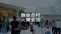 火遍全国！洛阳魏坡到底有多大魅力！