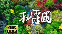 【4K】深藏在老城里的秋色园林—上海嘉定秋霞圃