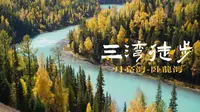 喀纳斯 | 三湾徒步强推月亮湾-卧龙湾段
