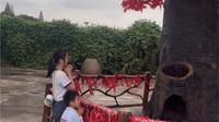 宁波达人村一日游