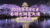 2026年4月6日，无锡太湖鼋头渚夜樱花