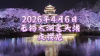 2026年4月6日，无锡太湖鼋头渚夜樱花