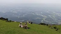 防城港望州顶徒步｜广西小瑞士，没看到云海，但高山草甸也是风景封神啊