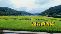 走近延安南泥湾，体验陕北好江南，追忆当年那激情燃烧的岁月＃延安南泥湾＃三五九旅屯垦纪念馆＃红色旅游＃南泥湾风景区