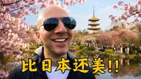 逛完武汉东湖樱花园，我才发现：日本樱花可能真的被吹过头了！