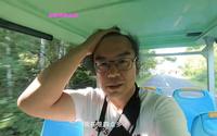 龙哥逛逛伊春市汤旺河林海奇石景区，偶遇一只硕大的彩色狐狸！
