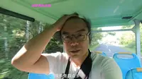龙哥逛逛伊春市汤旺河林海奇石景区，偶遇一只硕大的彩色狐狸！