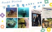 Scuba Diving|一个人去分界洲岛考PADI OW潜水证