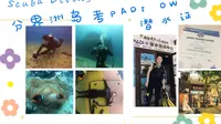 Scuba Diving|一个人去分界洲岛考PADI OW潜水证