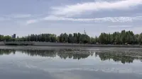 美丽的齐齐哈尔劳动湖哦～