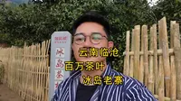 你喝过冰岛茶吗？普通人不知道的冰岛茶，不是北美冰岛，而是云南临沧双江勐库冰岛老寨的冰岛茶，去年茶树王茶叶拍卖160万，跟我哥屁股来茶园探茶园