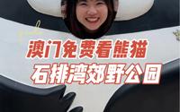 澳门小众游｜石排湾郊野公园免费看熊猫