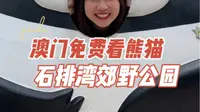 澳门小众游｜石排湾郊野公园免费看熊猫