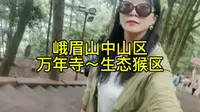 徒步峨眉山中山区路线，万年寺～生态猴区，偶遇猴群，从五显岗车站返程。