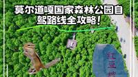 莫尔道嘎国家森林公园自驾路线全攻略