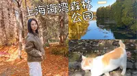 周末VLOG ｜在上海海湾森林公园里猛猛吸氧啦！