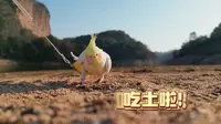带着小咪游龙虎山香炉峰。拖延综合症患者终于整理视频了