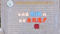 帽天山化石地是世界自然遗产，藏在云南深山中的最低调景区