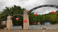 福州动物园动物还有刻板行为吗