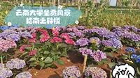 云南大学呈贡风景指南之钟楼