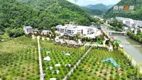 春暖花开，商州区蟒岭绿道景区等你来打卡。