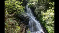 郴州王仙岭