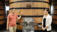 台青黄河游记：宁夏银川贺兰山下的葡萄酒庄，有什么特别的地方？