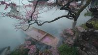 梅花 ｜ 曲院风荷 ｜ 顶流机位