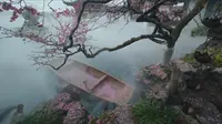 梅花 ｜ 曲院风荷 ｜ 顶流机位