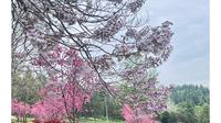 花花世界～秦岭国家植物园