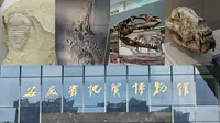 地球史书—安徽省地质博物馆游记