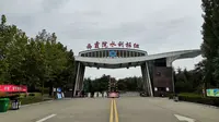 小伙实拍吉利西霞院，你不知道的原生态黄河湿地，遛娃休闲好去处