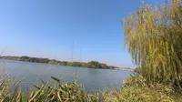 绍兴镜湖国家湿地公园