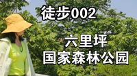 徒步第2期：7月六里坪国家森林公园，轻松走