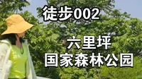 徒步第2期：7月六里坪国家森林公园，轻松走