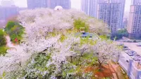 长沙含浦，晚安家居文化园。