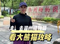 温州动物园看大熊猫攻略来啦，动物园没涨价，14周岁以下还免费