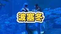五一哈尔滨波塞冬的出行攻略给大家整理好了，你们来可以参考这么玩