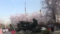 鉴真大道