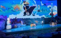 大连圣亚海洋世界海豹海狮表演