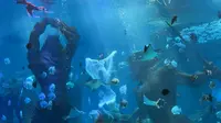 哈尔滨波塞冬海底世界一日游vlog～