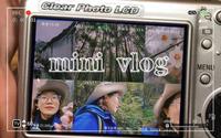 mini vlog02黑虎岗到药师岩穿越线徒步！又是崴到脚的一次徒步，爬山滋滋冒汗就好开心！