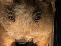 798艺术中心展品详细讲解