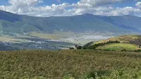 永远的行走——从高黎贡山到茶马古道