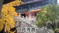 云龙山兴化寺，秋的寺庙更有意境