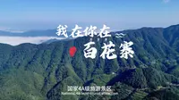我在你在百花寨！#湖南安化#百花寨景区#湖南旅游景点推荐 #周边游 #滔溪镇