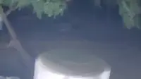 夜晚的邯郸赵苑公园，随便逛逛，似乎看到一场灯光秀，太美了！