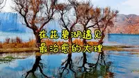 在茈碧湖遇见最治愈的大理